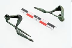 Foto von Bronzepaukenfibel (NHMW-PRAE-025762)